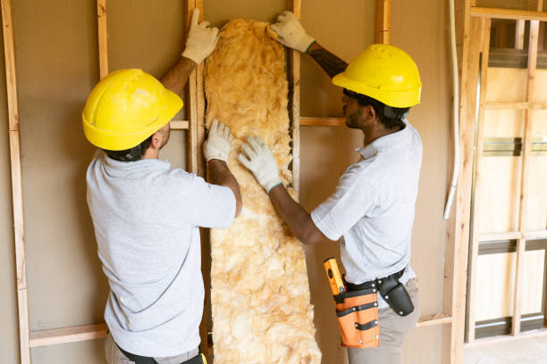 Best Insulation for New Construction  in East Cleveland, OH