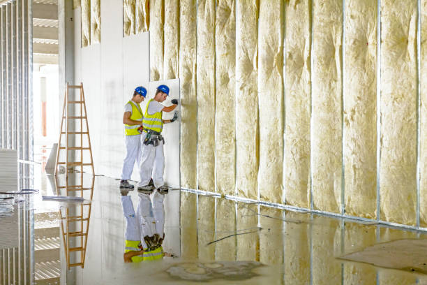 Best Residential Insulation Services  in East Cleveland, OH